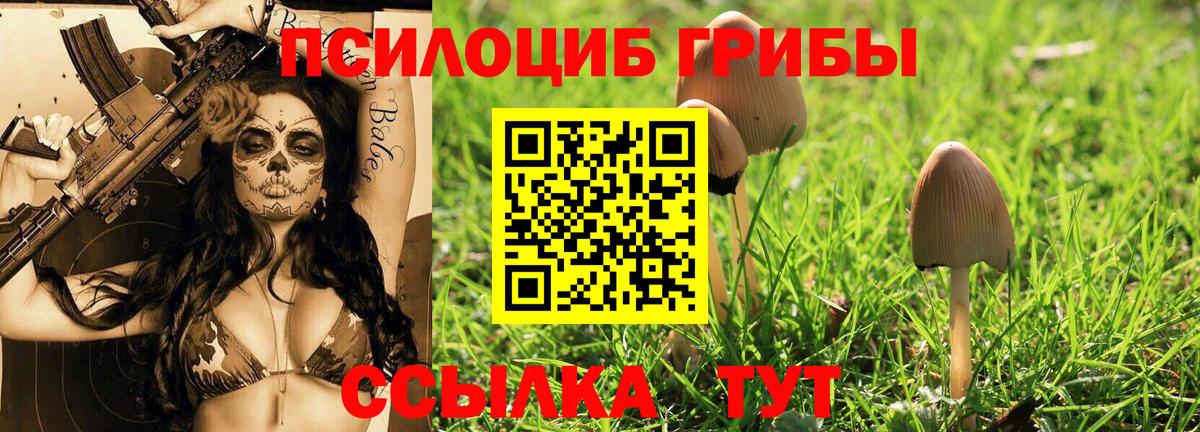 Галлюциногенные грибы MAGIC MUSHROOMS Костомукша